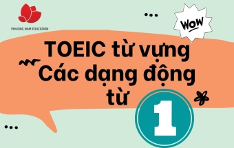 Từ vựng TOEIC: Các dạng động từ thông dụng (Phần 1)